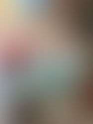 The book 'The Smell of Olhão is in Town