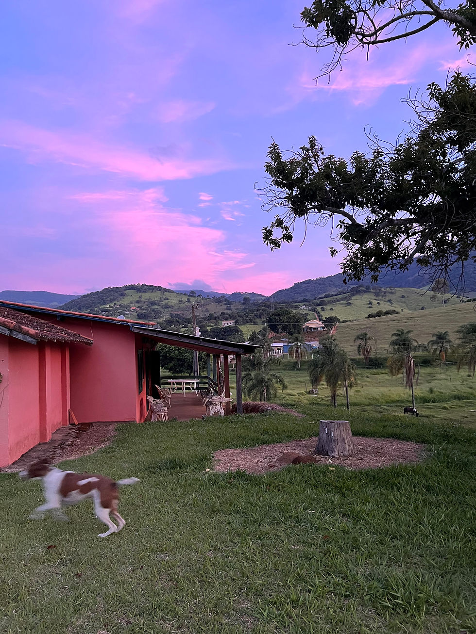 Miniatura: QUINTA DO BEBAS (Paraisópolis)