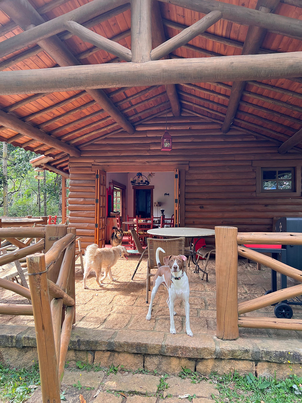 Miniatura: CABANA CANADENSE (São Francisco Xavier)