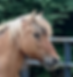 View recent photos.png