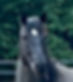 View recent photos_edited_edited.jpg