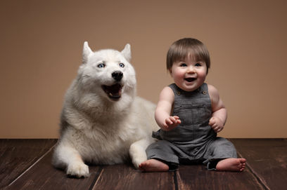 SLT photographie, photographe Morbihan