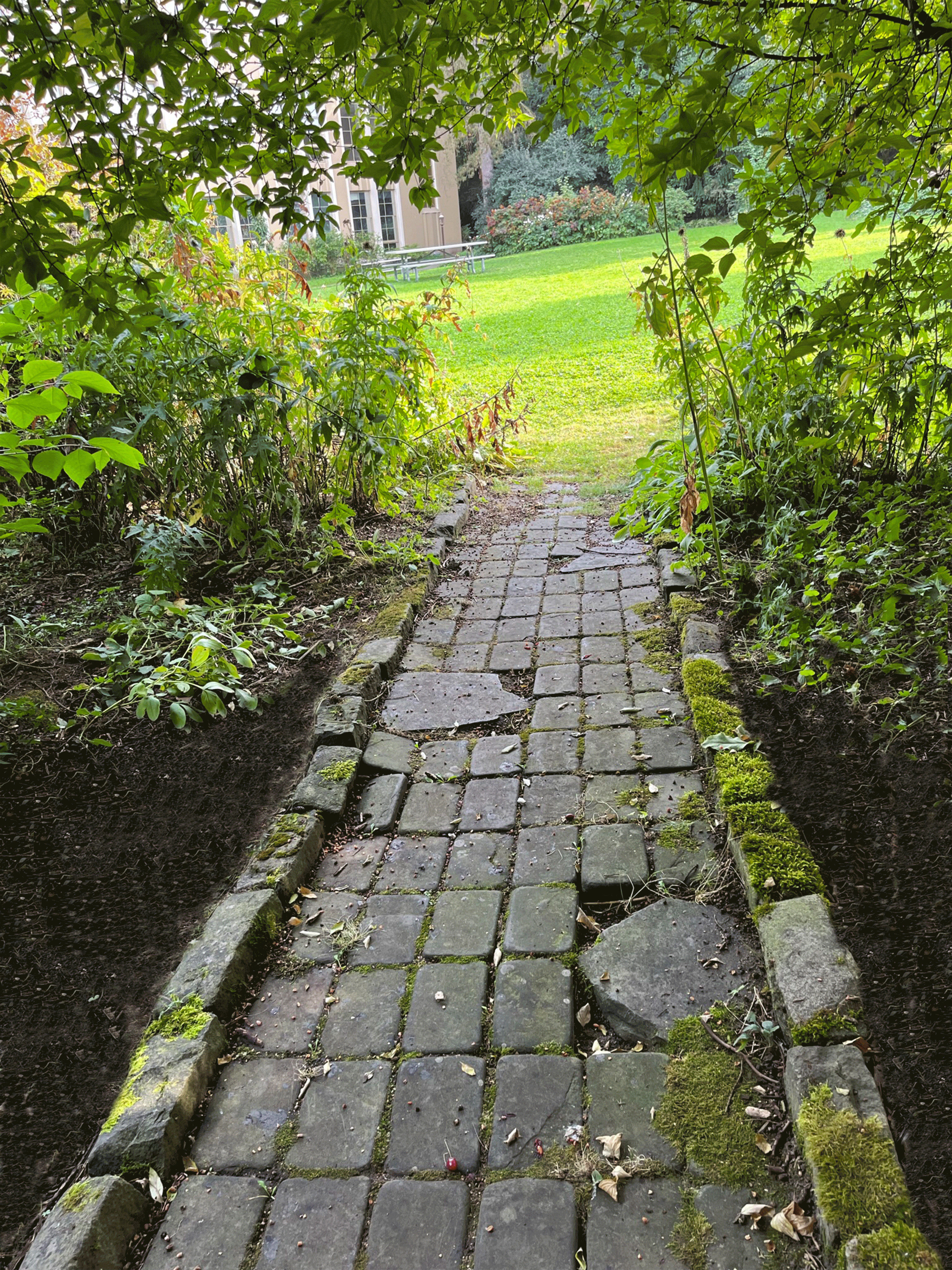 101222_ID197_Patrick_Path_edited