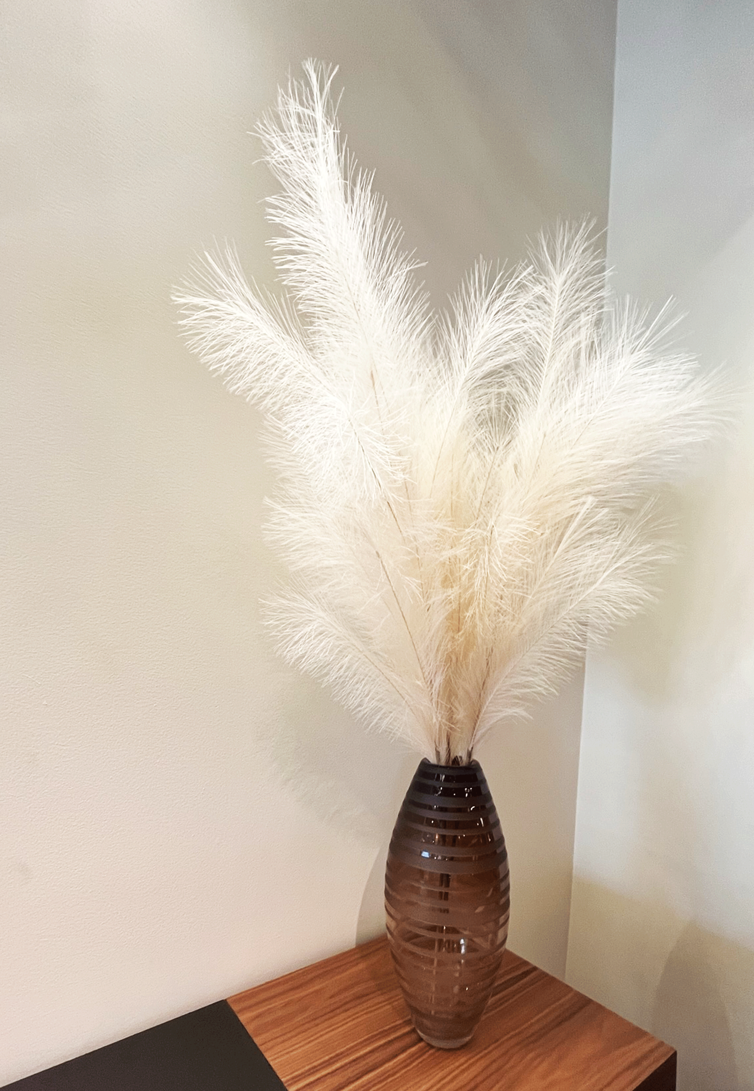 101222_ID197_Patrick_Feathers_edited