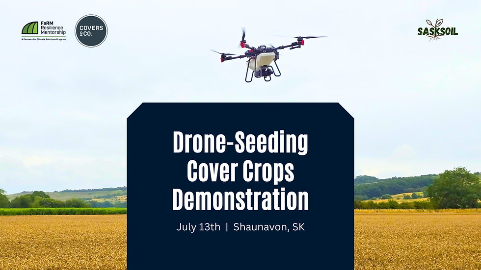 Drone Seeding Cover Crop Demo - Shaunavon, SK