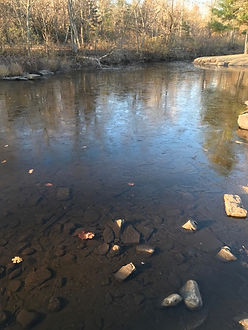 image6.jpeg