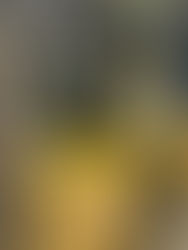 PREÇOS DE COMPRA DE IMÓVEIS ESTÃO EM QUEDA