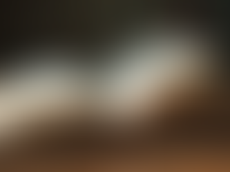 Conheça a Loja Oficial de Luca Brandão: Livros Autografados Luca Brandão