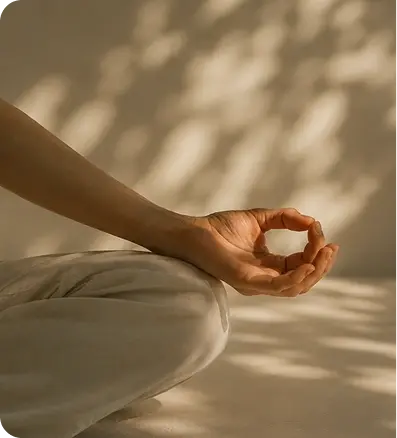 Meditacion Santosha Experience