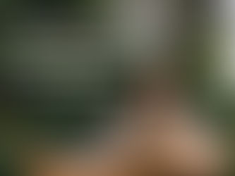 The Power of Purpose: How Values-Driven Marketing Builds Stronger Brands