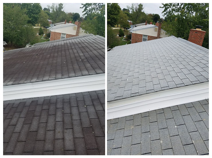 Before and after roof cleaning