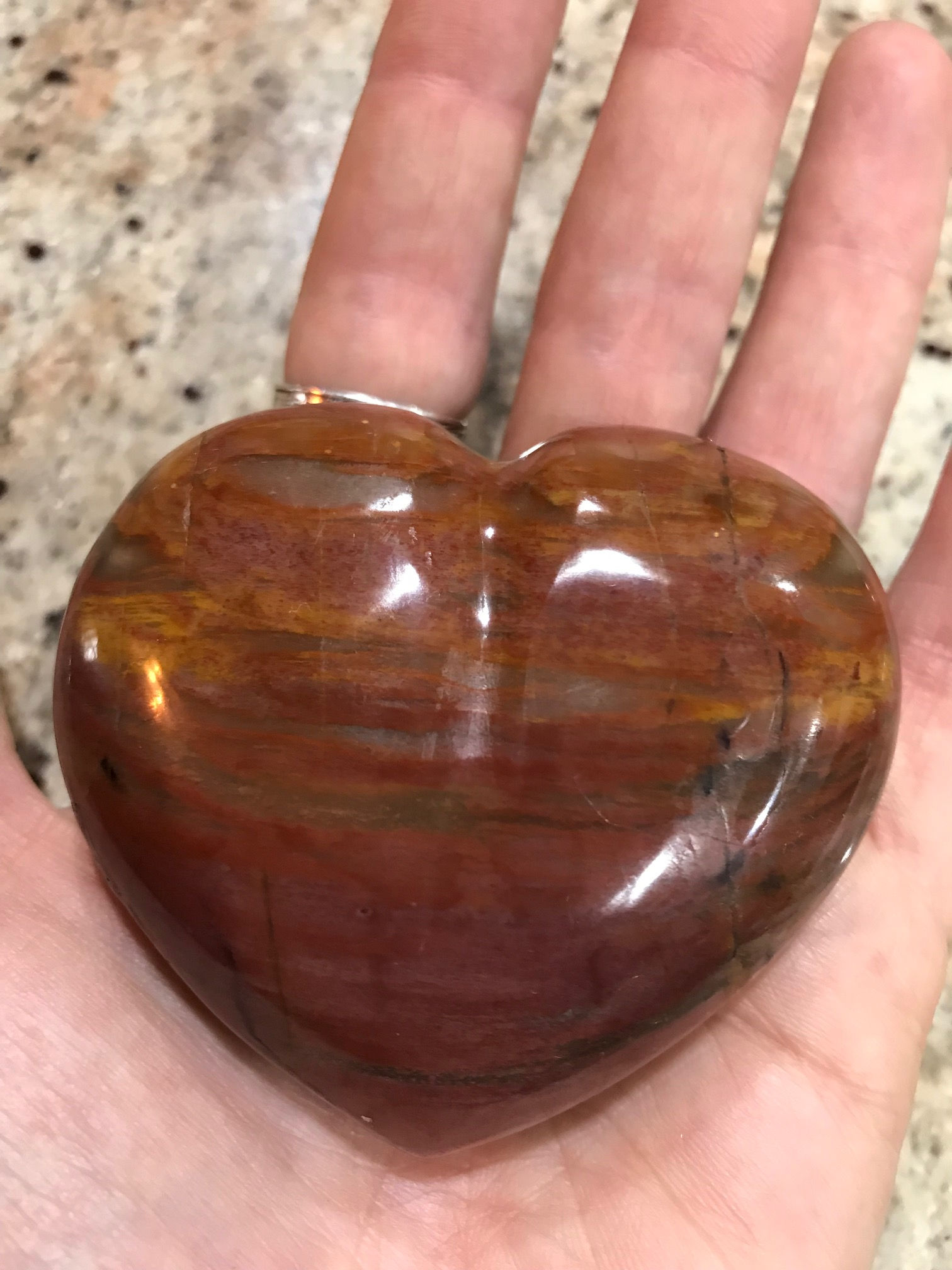 (C#) Sexual Chakra - Petrified Wood