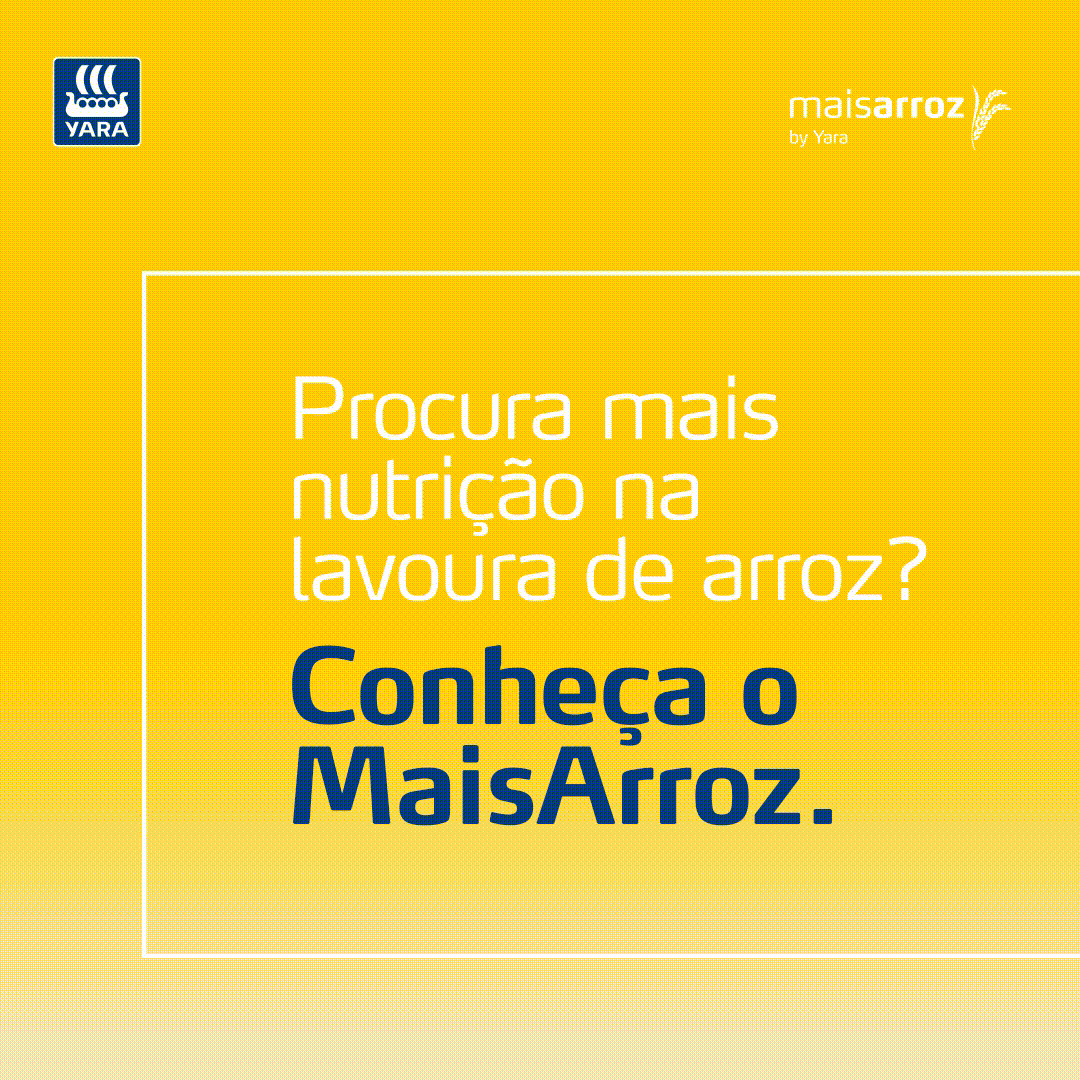 545-03-Giff-Instagram-MaisArroz-1080x190px-ly-alt02-_1_.gif