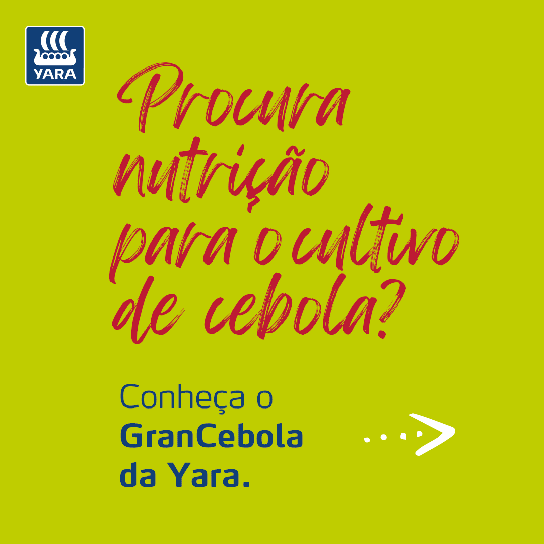 512-04-PECAS-BASE-GRANCEBOLA-Gif-Instagram-LY-ALT03 (3) (1).gif