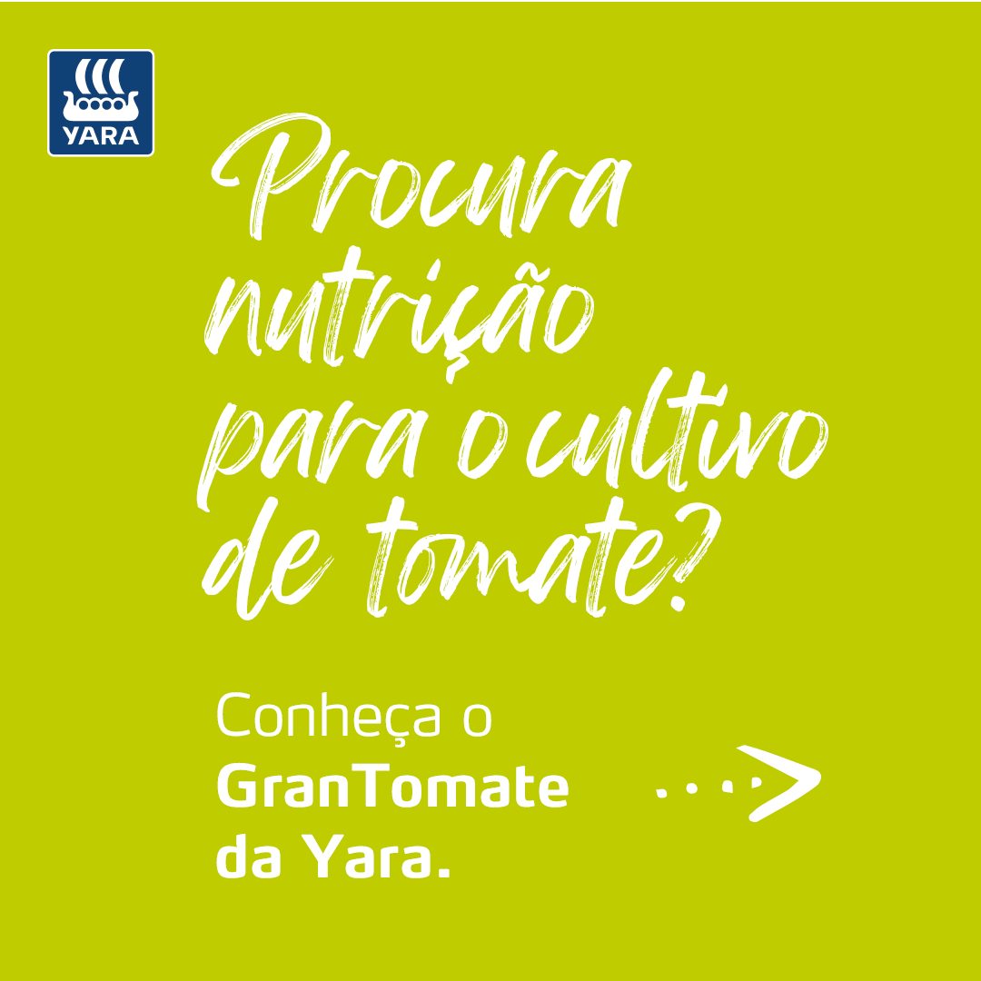 498-13-GranTomate-Gif-Instagram_ALT04.gif