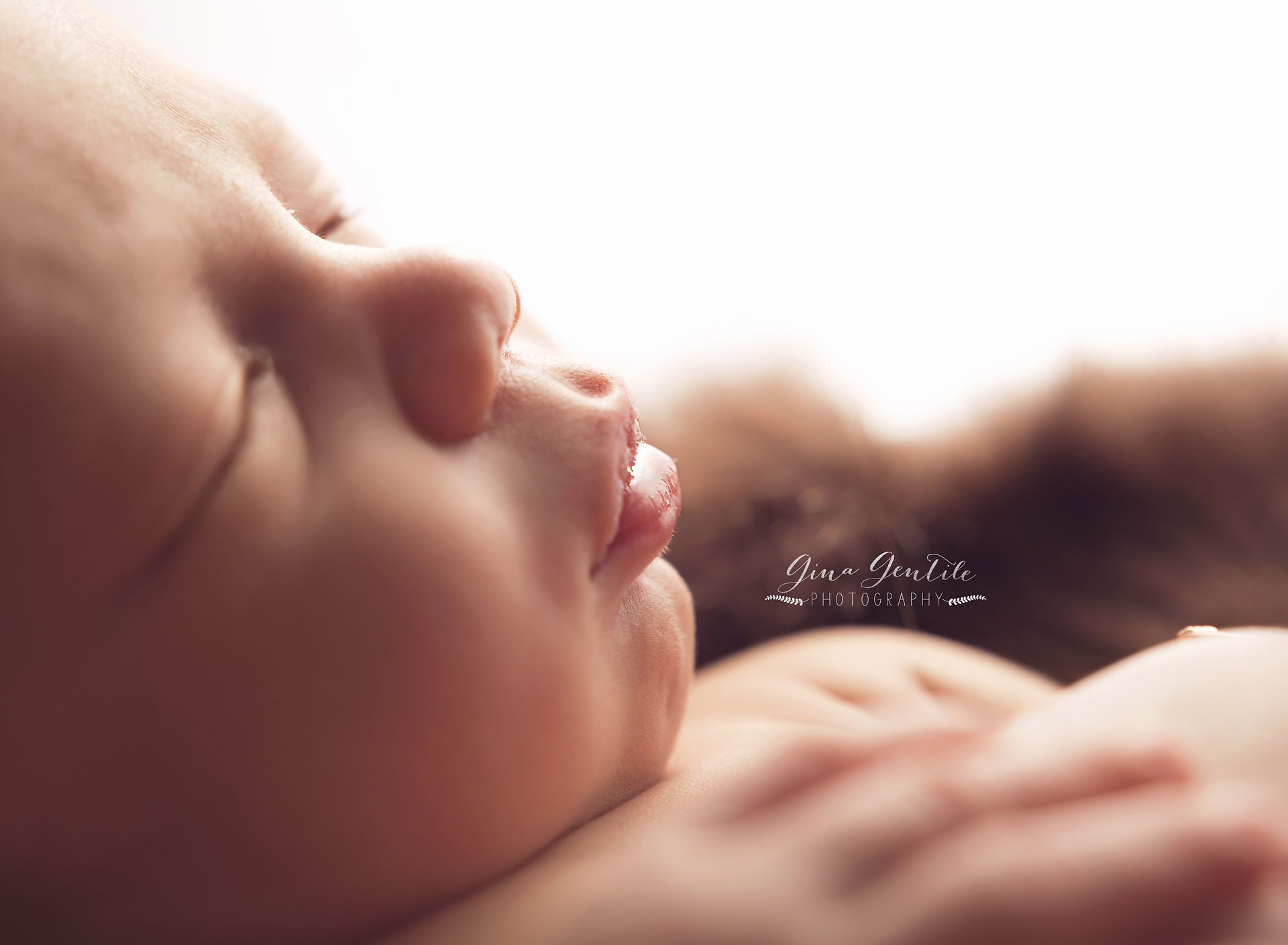 Long Island Newborn Photographer
