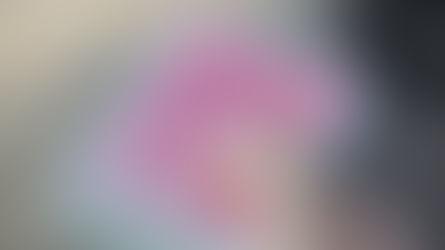 The Surprising Value of Pokémon Cards