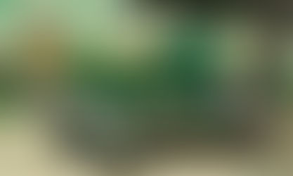 Mong manh tình đầu