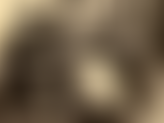 The Role of Technology in Enhancing Productivity