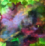 Image3_pmintun
