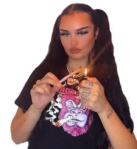 fjidejdsv_edited_edited_edited.png