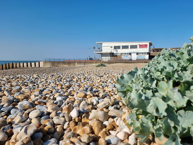 Eastbourne Osteopathy Duckmanton Exterior