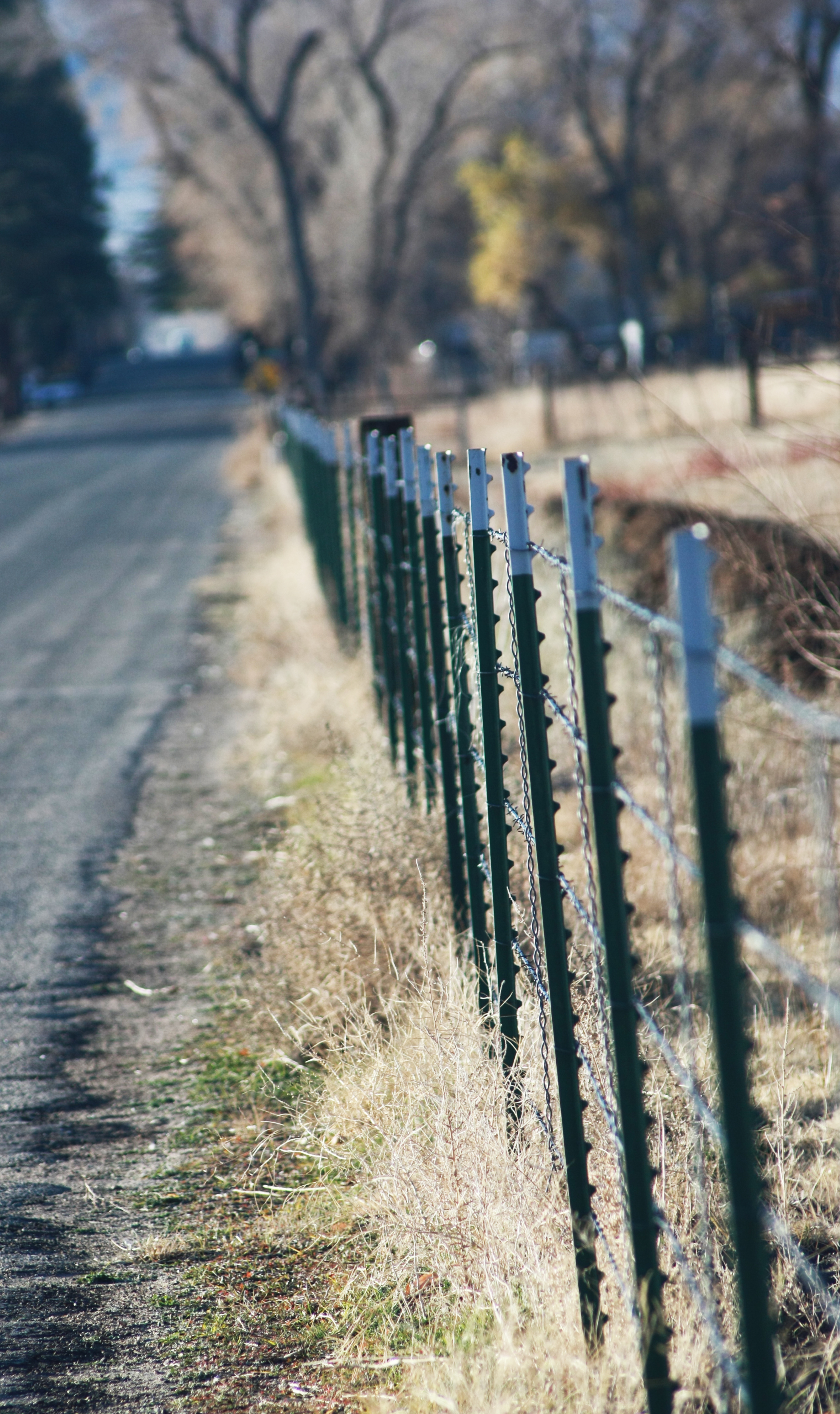 Country road - Fence Big Pine, CA
