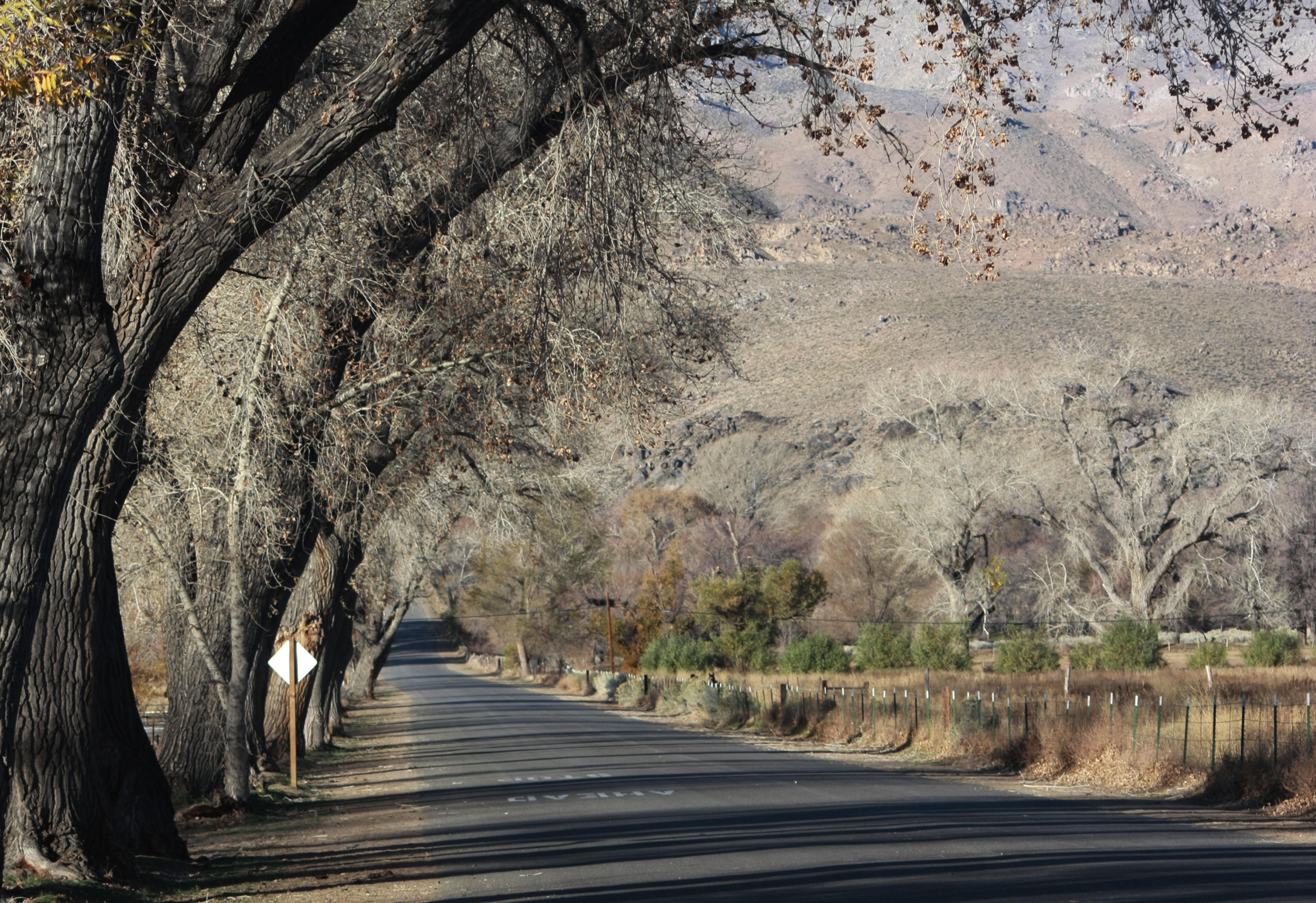 Country road - Big Pine, CA