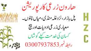 Haroon Zarai Corporation. Mian Channu