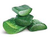 ALOE_VERA_ok_0.jpeg