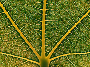 Como o investimento de impacto está contribuindo com o financiamento de projetos sociais e ambientais?