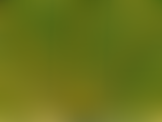 Como o investimento de impacto está contribuindo com o financiamento de projetos sociais e ambientais?