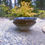 Thumbnail: Blue Spill Resistant Daily Bowl
