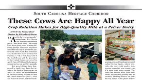 "These Cows Are Happy All Year"