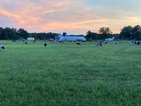 Banner-PastureAndFarm.jpg