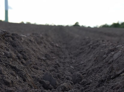 Landwirtschaft, Erde, Dämme
