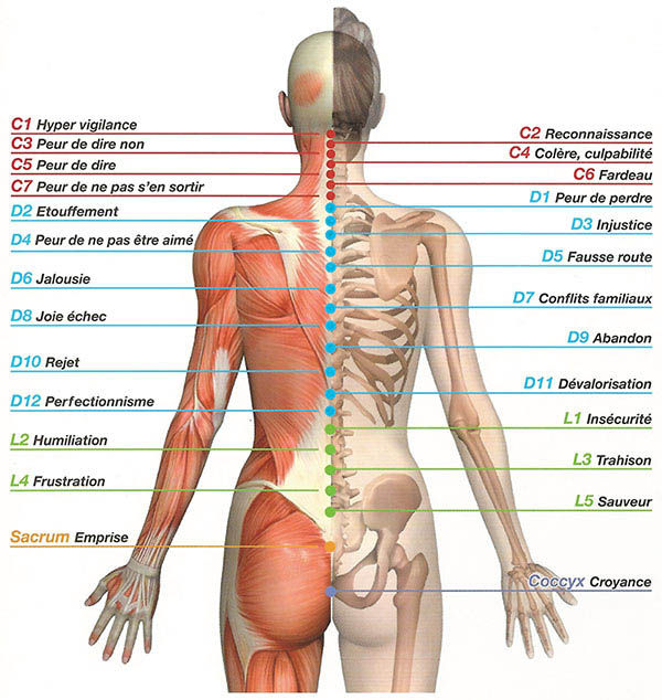carte émotionnelle dos