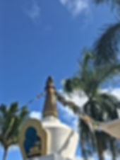 image2 (4).jpeg