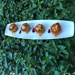 Parmesan-Crusted Seafood Cake