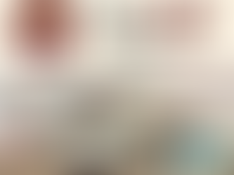 🏠 台北汐止訂製家具推薦｜NOVA 貓抓材質客製沙發