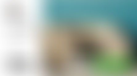 【2025貓家長首選】全台首款可訂製尺寸的貓抓皮沙發🔥