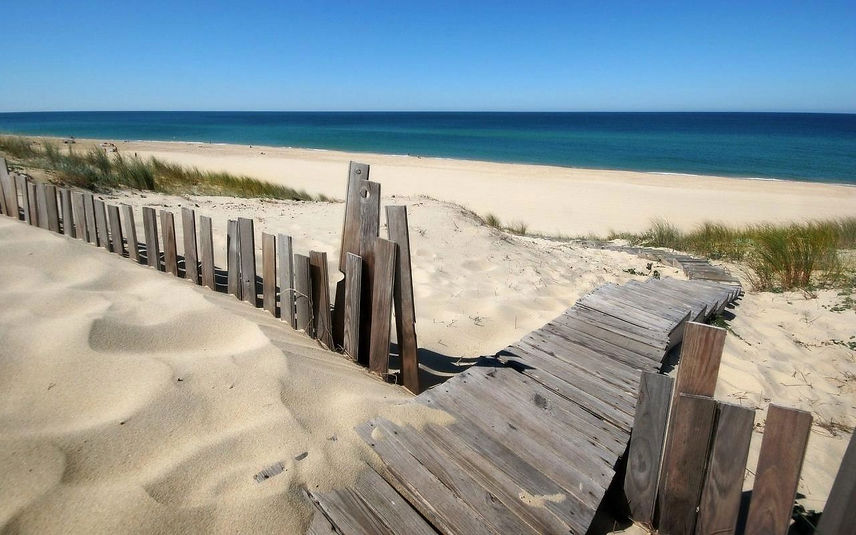 sandy-beach-wallpaper-4_edited.jpg