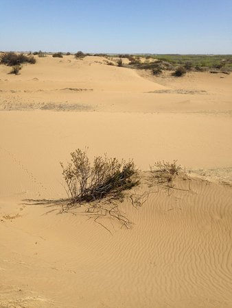 Day Hike - Elbow Sand Hills and Trans Canada Trail