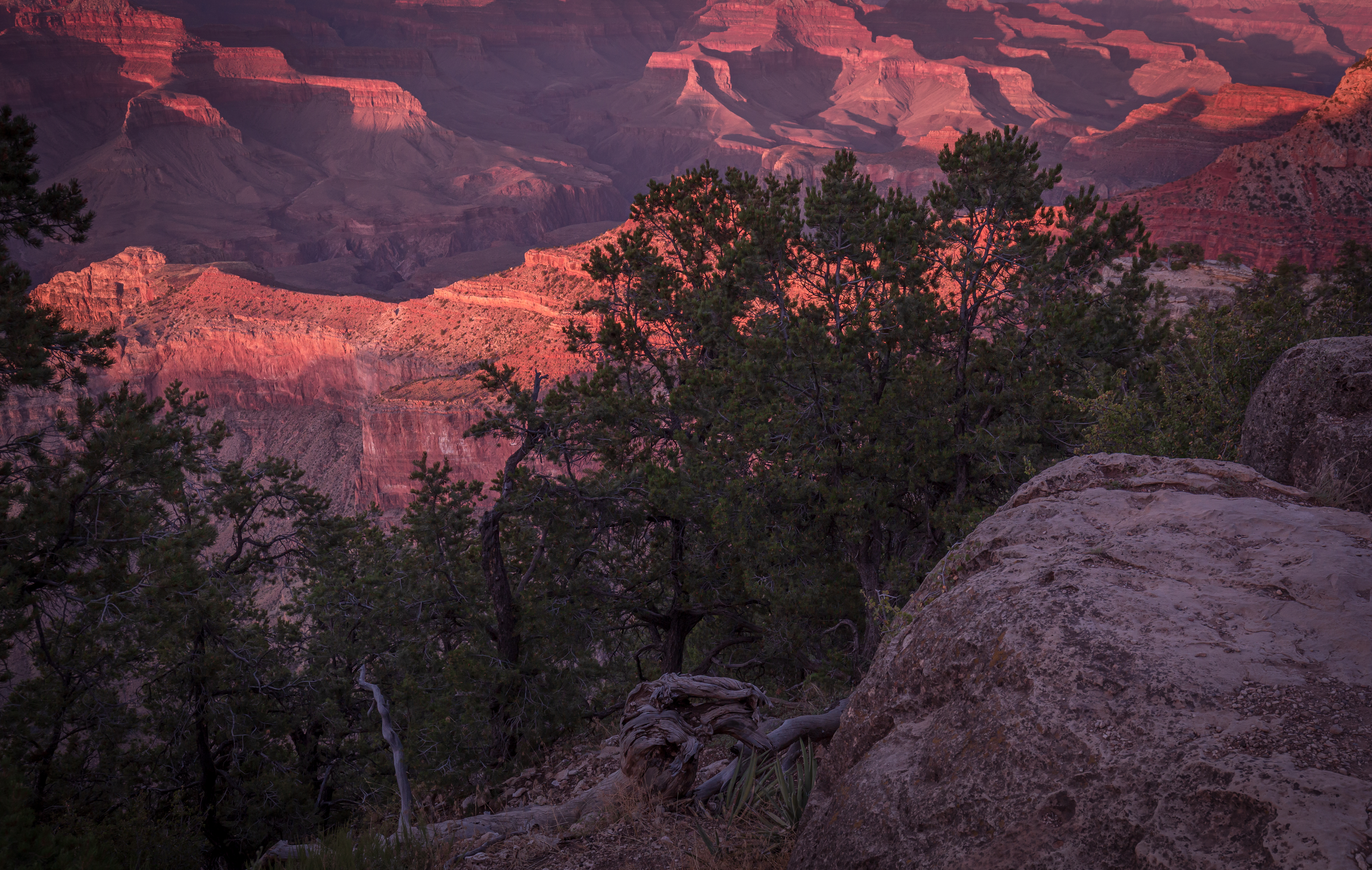 Peering Into Natural Beauty