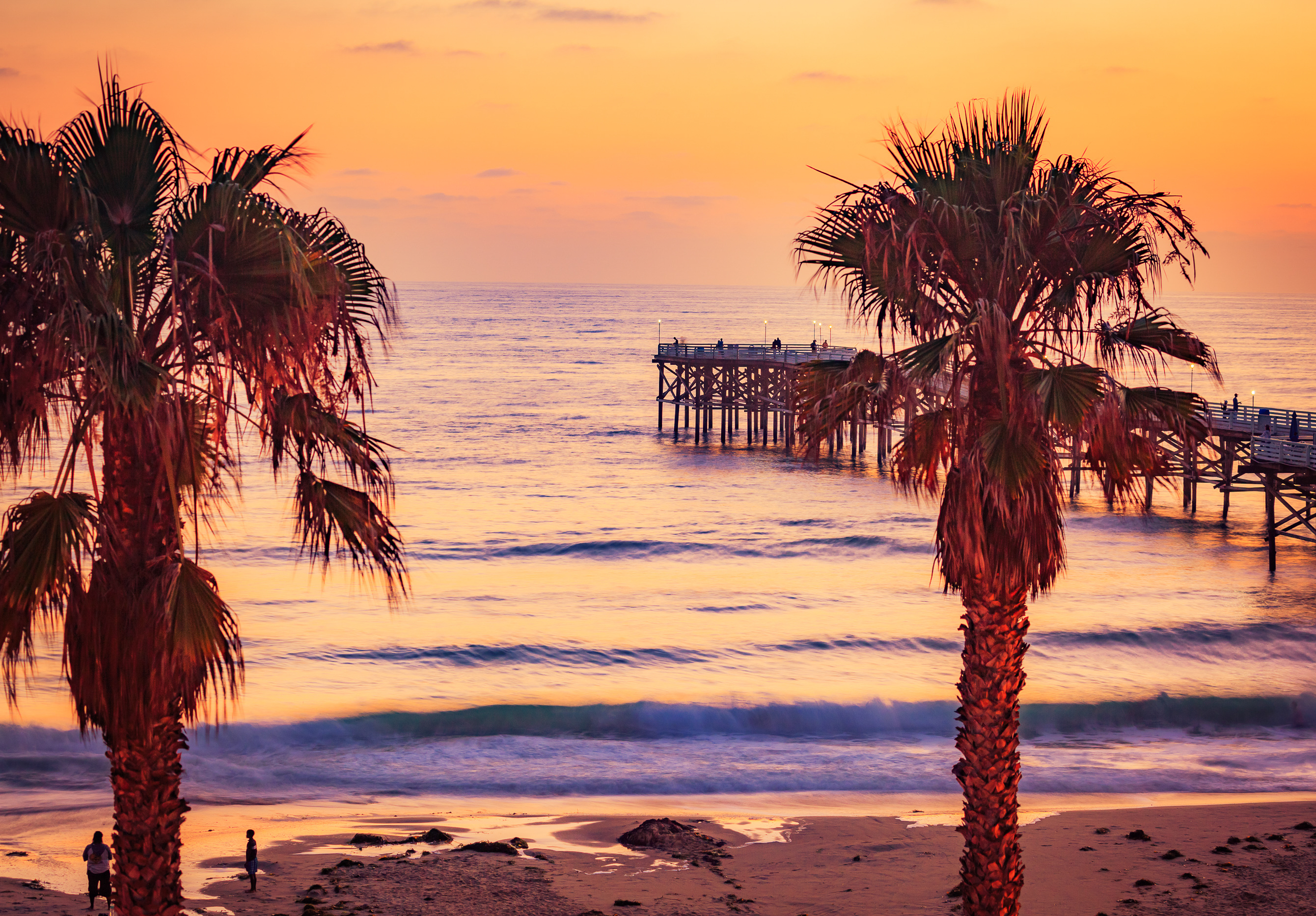 Pier and Tree Beauty