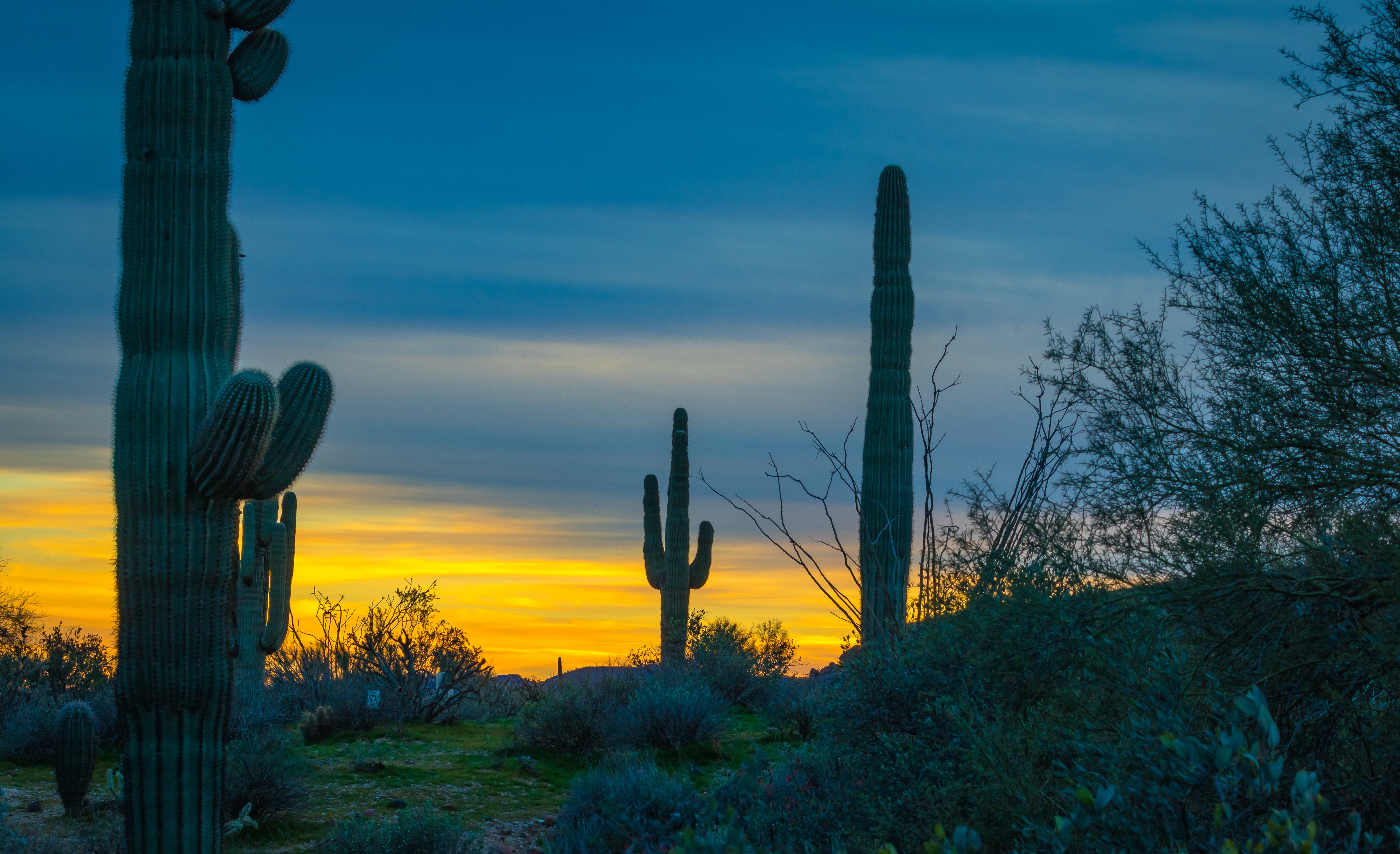 Sun Down in the Desert