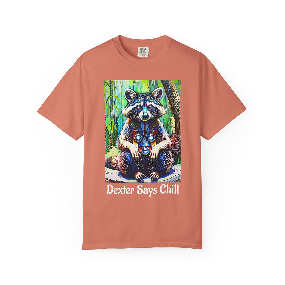 Thumbnail: Raccoon & Colorful Owl 'Chill' Funny Graphic T‑Shirt - Dexter says Chill Tee