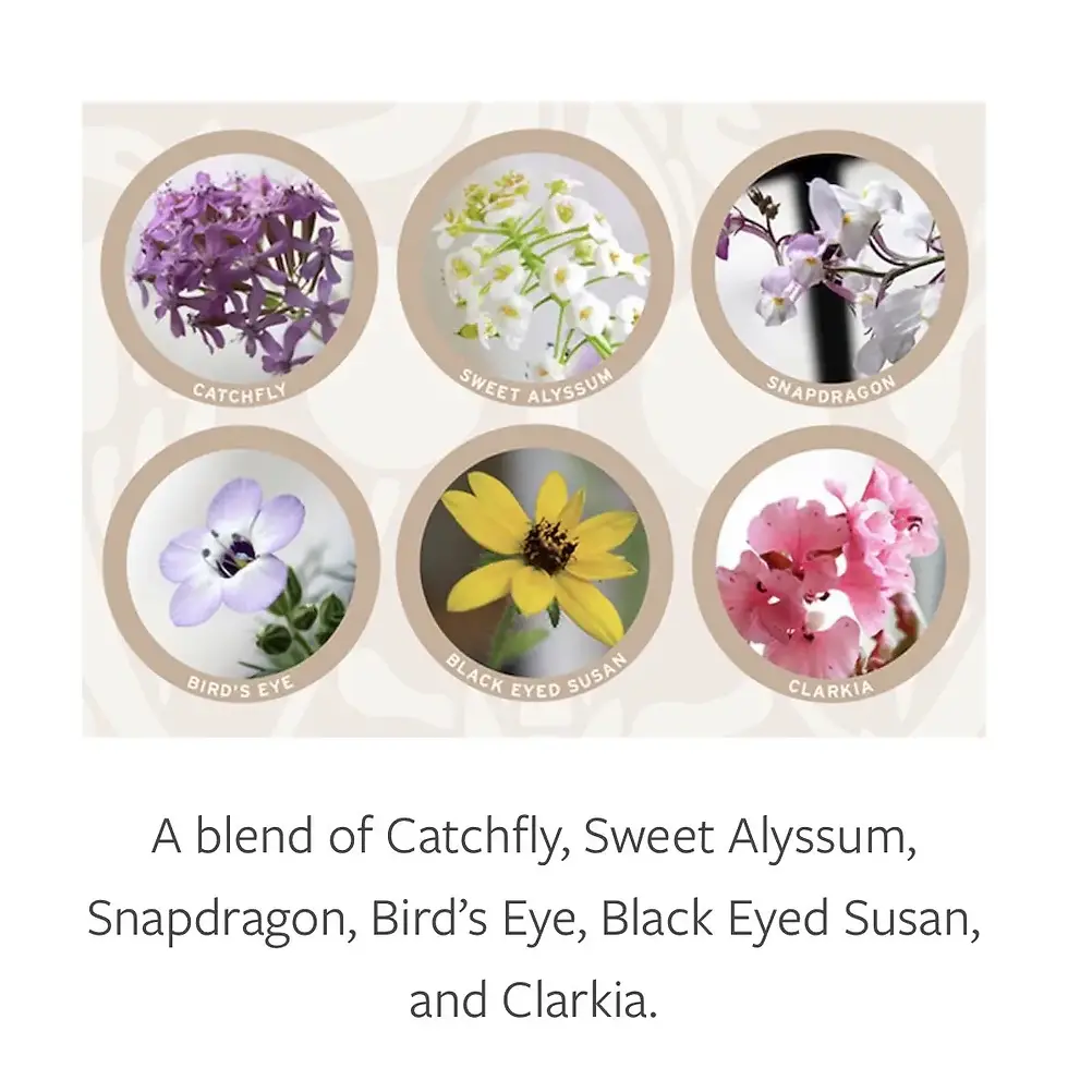 Thumbnail: Plantable Greeting Card  - Birthday Flowers