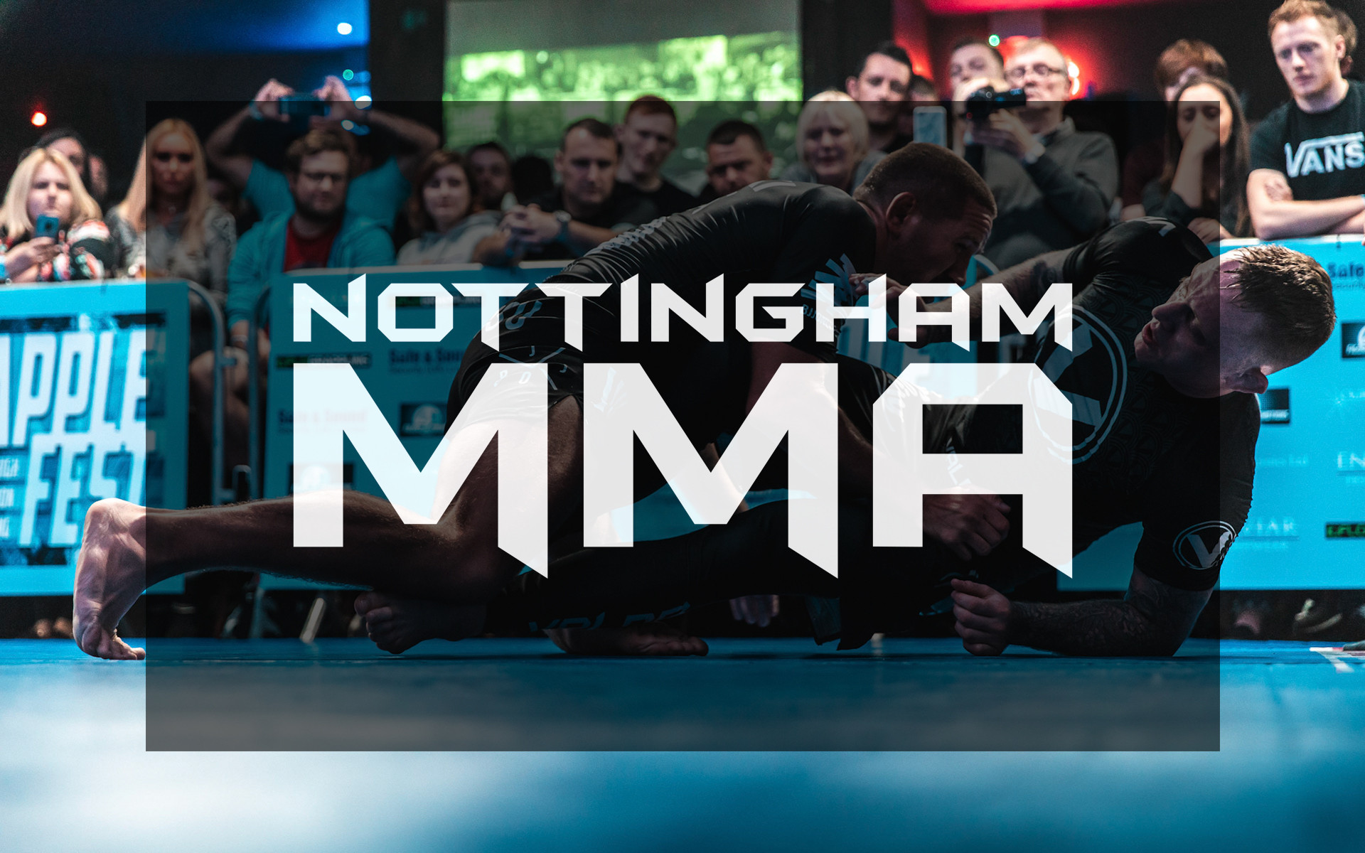 Nottingham MMA photo (Gym's own website)