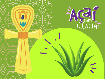 Babosa: A “planta da imortalidade” no Antigo Egito